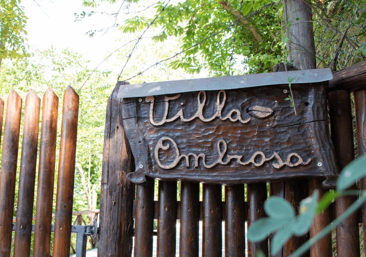Dolf - Villa Ombrosa Isola  Exteriér fotografie