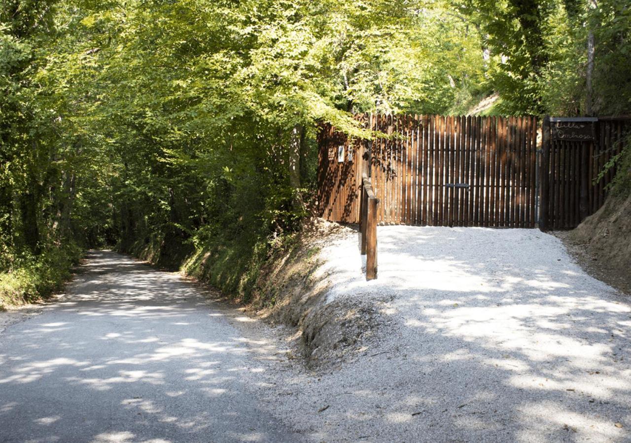 Dolf - Villa Ombrosa Isola  Exteriér fotografie
